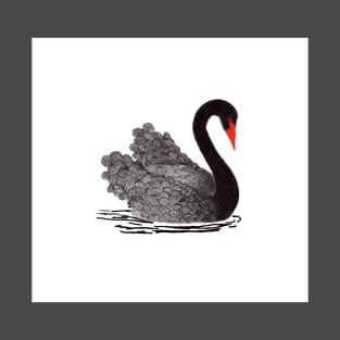 Black Swan T-Shirt