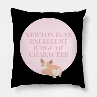 Newton is an excellent judge of character Pillow