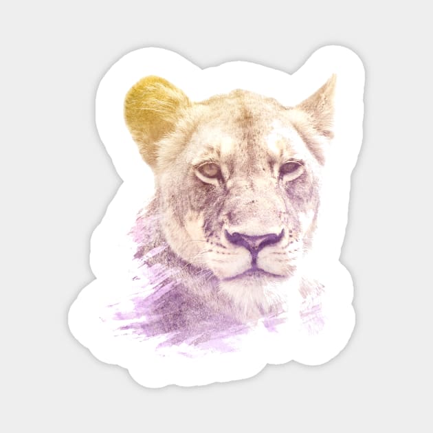 Lioness Superimposed Watercolor Magnet by deificusArt