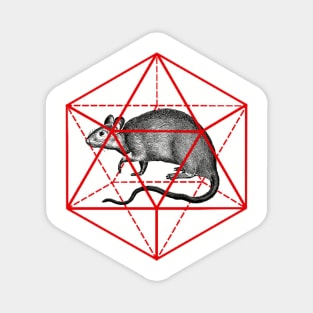 Rat in icosahedron Magnet