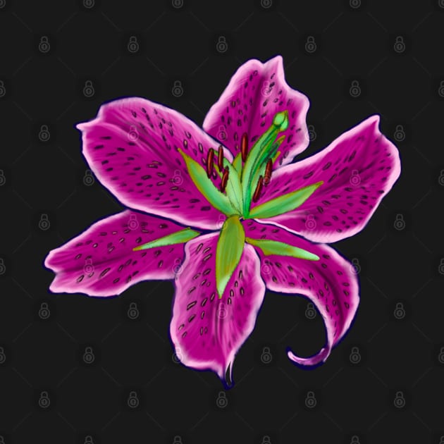 Lilly lily flower - single pink lilly by Artonmytee