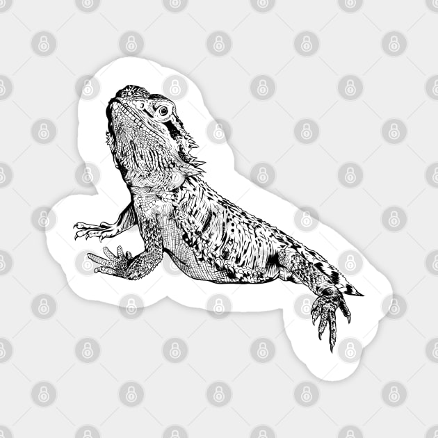 Line drawing - bearded dragon Magnet by Modern Medieval Design