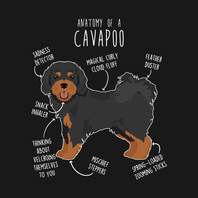 Black and Tan Cavapoo Dog Anatomy by Psitta