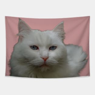 Pink pussy Tapestry