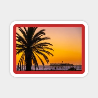 Namibia. Swakopmund. Palm Tree. Sunset. Magnet