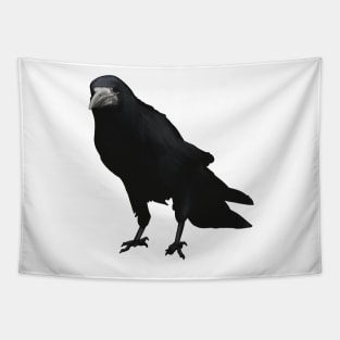 The disapproving Rook Tapestry