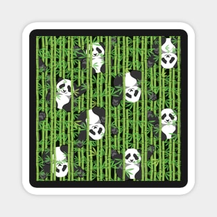 Pandas in Bamboo Magnet