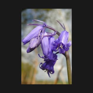 Blubells Ring, Are You Listening T-Shirt