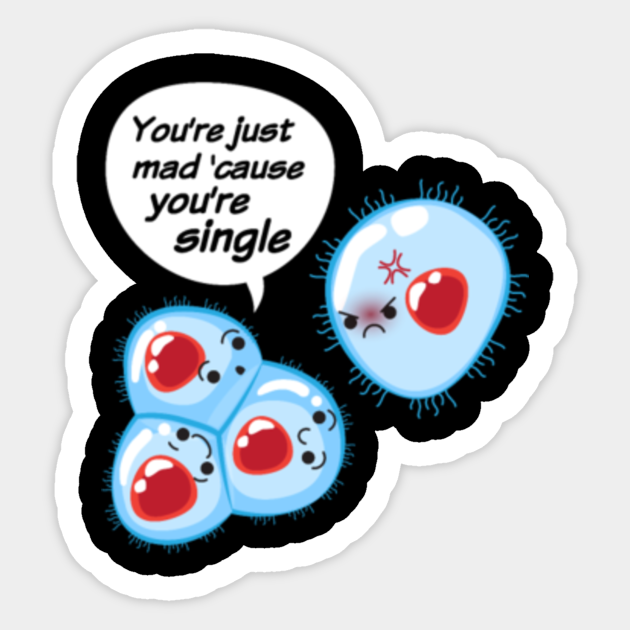 Single Cell Biology Mitosis Science Funny - Science Funny Sayings ...