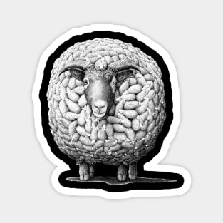 sheep! Magnet