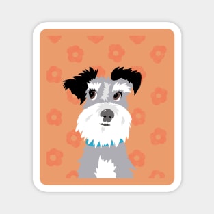 Salt and Pepper Miniature Schnauzer on Bright Orange Daisy Background Magnet