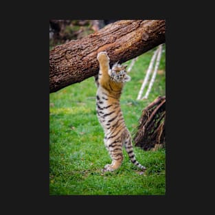 Baby Tiger Hanging on the Tree T-Shirt