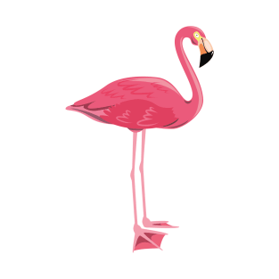 Greater Flamingo | Pink Flamingo T-Shirt