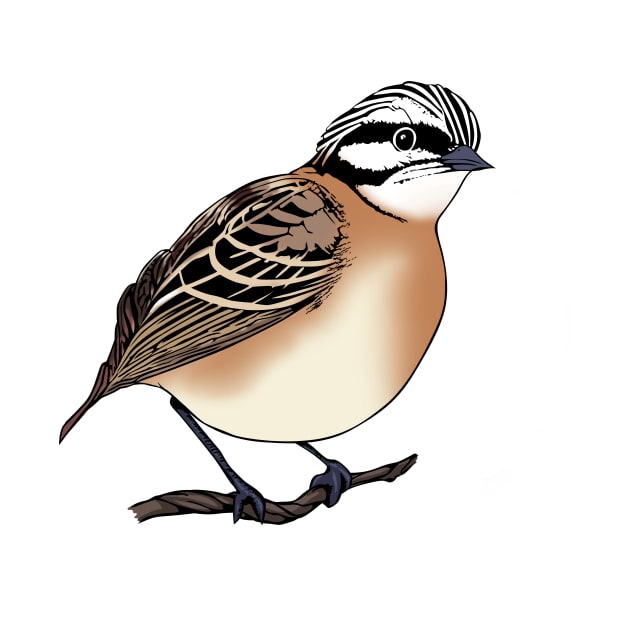 Fantail Bird Design by PasifikTee