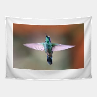 Green Violetear Hummingbird - Costa Rica Tapestry