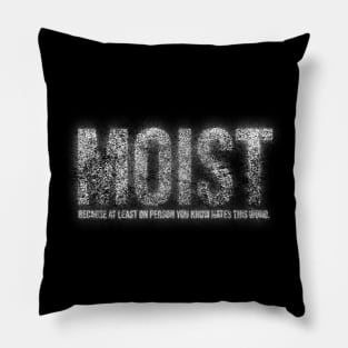 moist - dust type Pillow