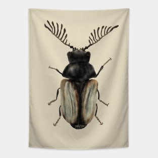 Cool beetle insect lover entomology art Tapestry