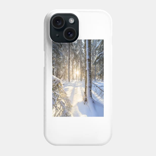 Sunshine in winter forest Phone Case by Juhku