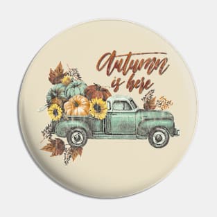 Autumn is here Pin