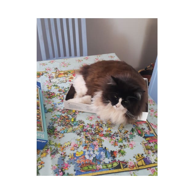 Tuxedo Cat Funny "Thanks for the Convenient Jijsaw Puzzle Box!" cats in boxes by SarahRajkotwala