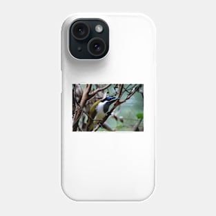 Blue Faced Honey Eater Phone Case