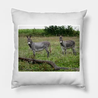 THE PANASONIC FZ 1000  PAR OKAIO CREATION Pillow