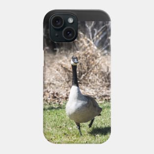 Canada Geese Phone Case