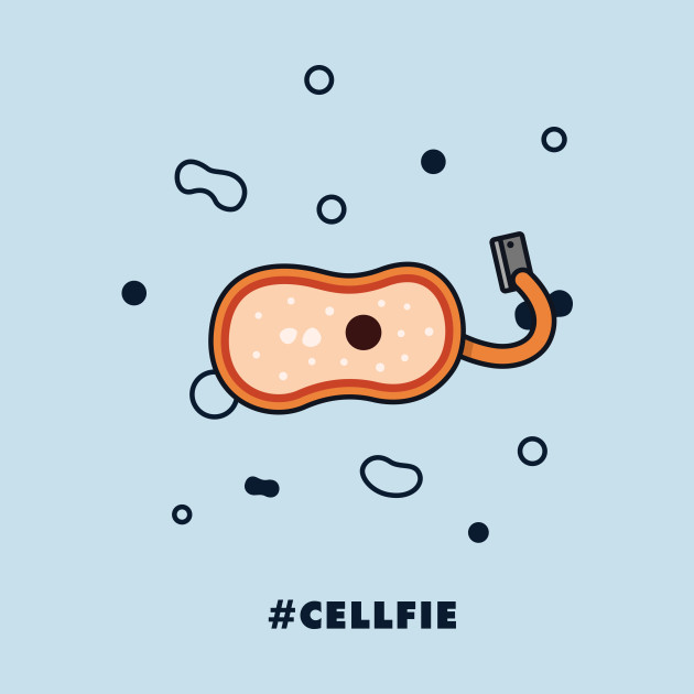 Cellfie by Haasbroek