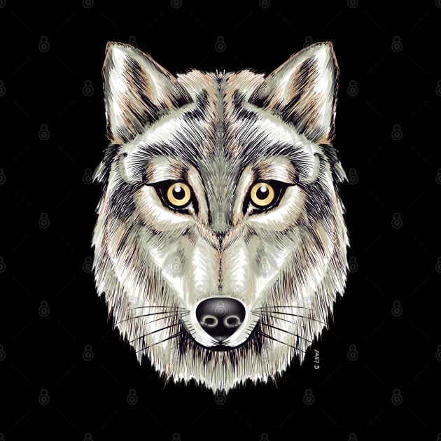 Grey wolf by Chillateez 