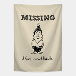 Missing Gnome. If found, contact Babette. Tapestry