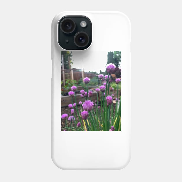 Fresh edible chive blossoms Phone Case by Steves-Pics