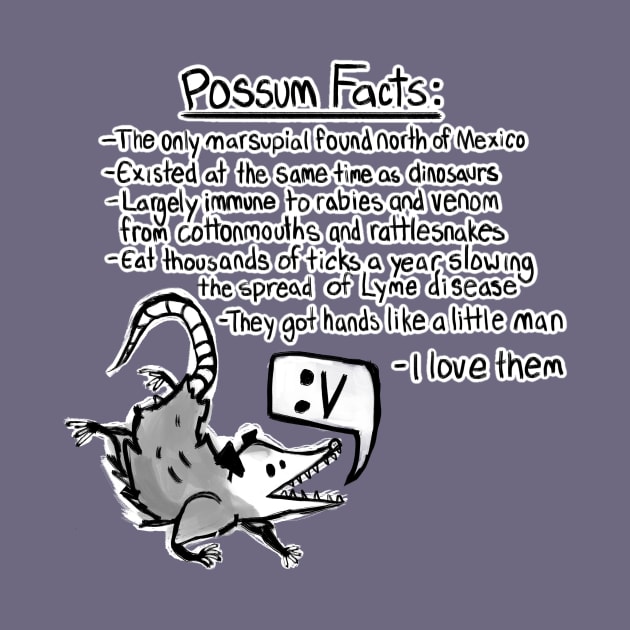 Possum facts by Elliot HT Art