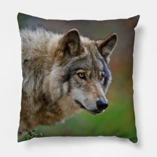 Timber Wolf Pillow