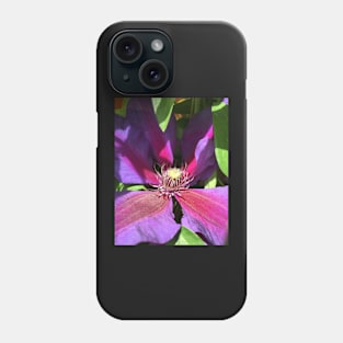 Stunning Purple Climbing Clematis Blooming Flower Power! Phone Case