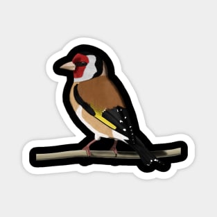 Goldfinch Bird Watching Birding Ornithologist Gift Magnet