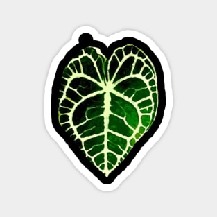 Urban Soule Anthurium Leaf Logo Magnet