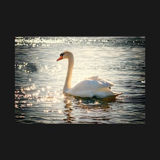 Swan in Sunlight T-Shirt