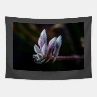 Kangaroo Paw Flower Tapestry