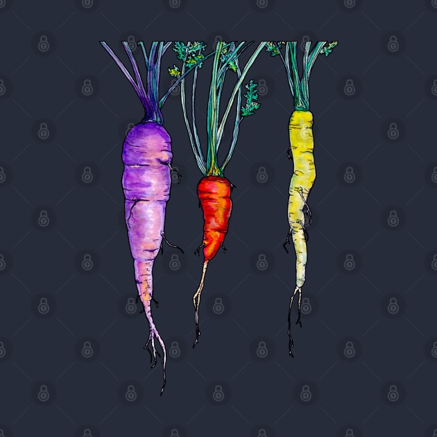 Carrots by ThisIsNotAnImageOfLoss