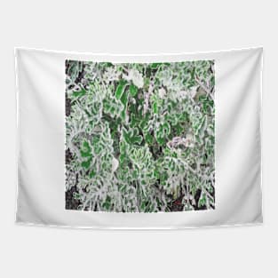 Lush Cineraria Foliage Tapestry