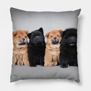 Chow chow  puppies Pillow