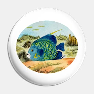 Angel fish on reef background Pin