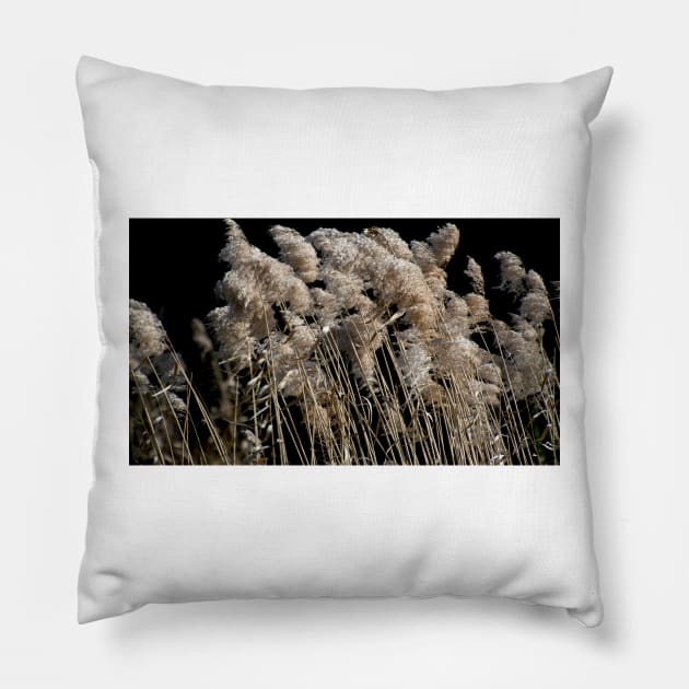 Grass In The Wind Pillow by GP1746