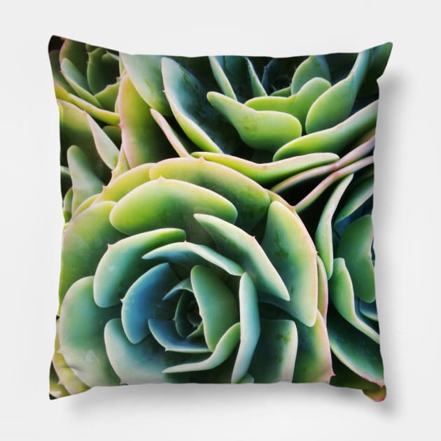 Succulent Rose Pillow by LittleBean