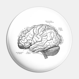 Human Body - Brain vol.3 Pin