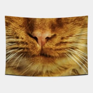 Cat face mask funny design - cat mouth face mask - animal mouth funny face mask Tapestry