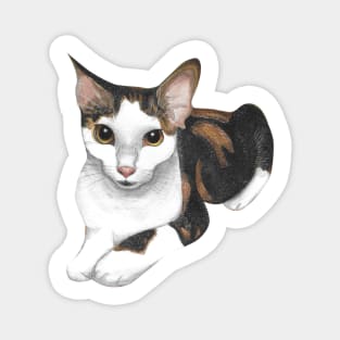 Heather Cute Calico Tabby Cat Watercolor Magnet