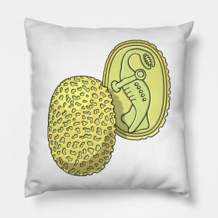 Tully Monster Concretion - Tullimonstrum Fossil Nodule Pillow