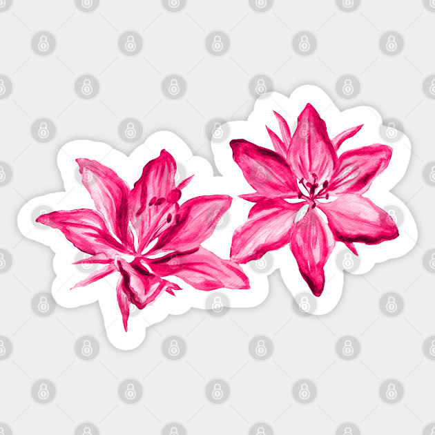 Pink Painted Watercolor Lilies Floral Pink Lily Flowers