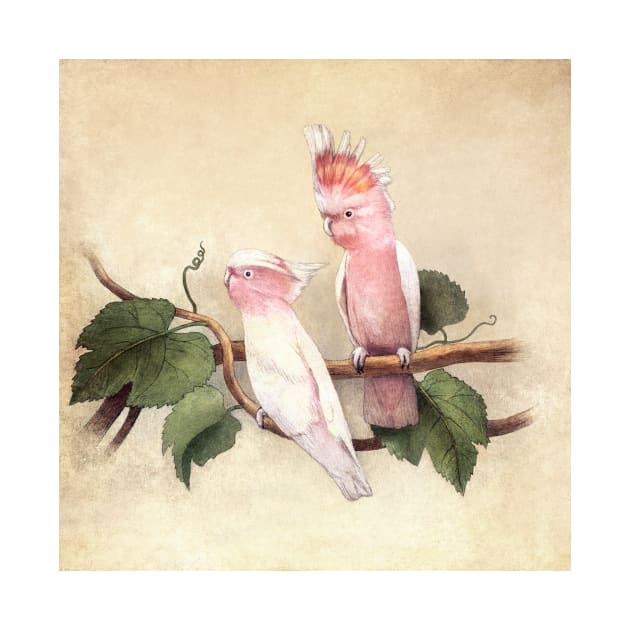 Pink Cockatoos by Terry Fan